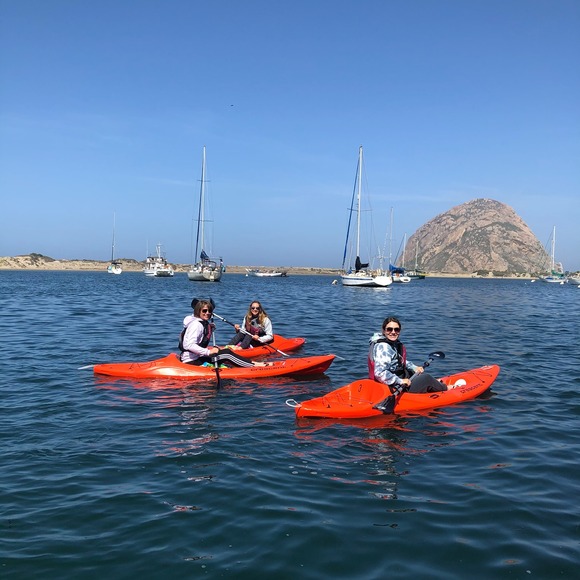 Meet your Posher, Jeff - Picture 1 of 1